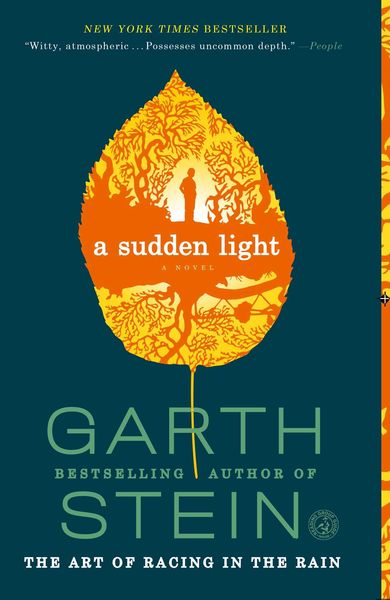 Produktbild: A Sudden Light