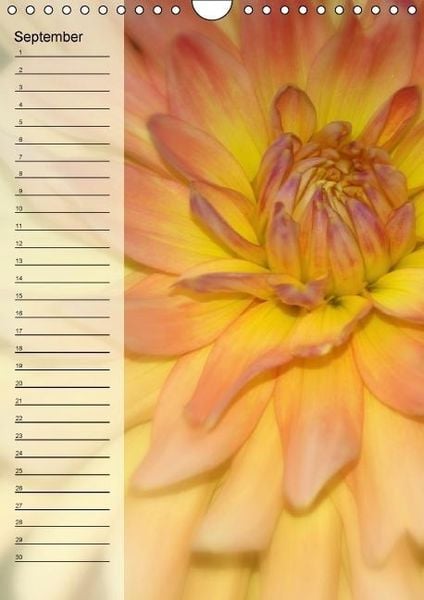 Produktbild: Immerw&auml;hrender Geburtstagskalender - Bl&uuml;tentr&auml;ume (Wandkalender immerw&auml;hrend DIN A4 hoch)