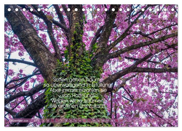 Produktbild: Funken der Hoffnung (Tischkalender 2026 DIN A5 quer), CALVENDO Monatskalender