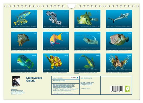 Produktbild: Unterwasser-Galerie (Wandkalender 2027 DIN A4 quer), CALVENDO Monatskalender