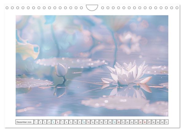 Produktbild: Lichtspiel der Seerosen (Wandkalender 2026 DIN A4 quer), CALVENDO Monatskalender