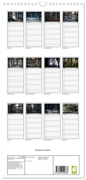 Produktbild: Familienplaner 2026 - Mystische W&auml;lder mit 5 Spalten (Wandkalender, 21 x 45 cm) CALVENDO