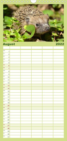 Produktbild: Familienplaner Die lieben Kleinen ... Tierkinder einfach zum Knuddeln (Wandkalender 2022 , 21 cm x 45 cm, hoch)