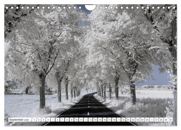 Produktbild: Zauberhafte Infrarot-Fotografie (Wandkalender 2026 DIN A4 quer), CALVENDO Monatskalender
