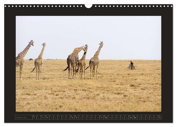 Produktbild: Kenia (Wandkalender 2026 DIN A3 quer), CALVENDO Monatskalender