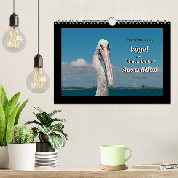 Produktbild: V&ouml;gel von "Down Under" Australien (Wandkalender 2027 DIN A4 quer), CALVENDO Monatskalender
