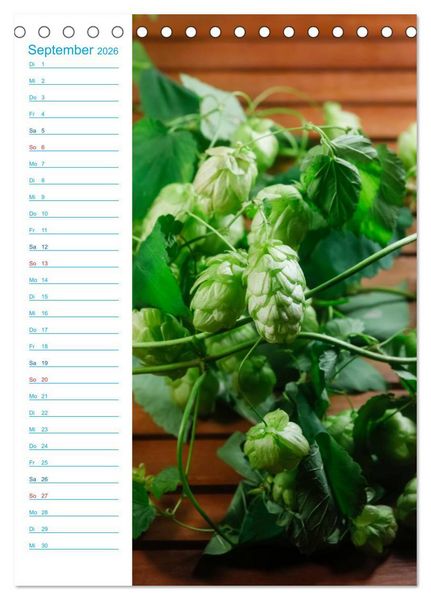 Produktbild: Bier (Tischkalender 2026 DIN A5 hoch), CALVENDO Monatskalender