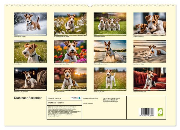 Produktbild: Drahthaar-Foxterrier (hochwertiger Premium Wandkalender 2026 DIN A2 quer), Kunstdruck in Hochglanz
