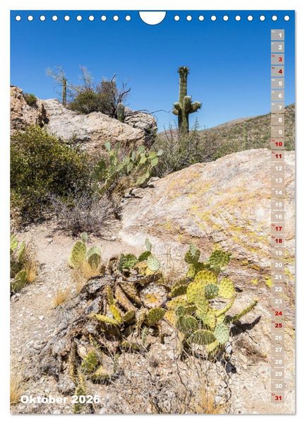 Produktbild: SAGUARO NATIONAL PARK W&uuml;stenimpressionen aus Arizona (Wandkalender 2026 DIN A4 hoch), CALVENDO Monatskalender