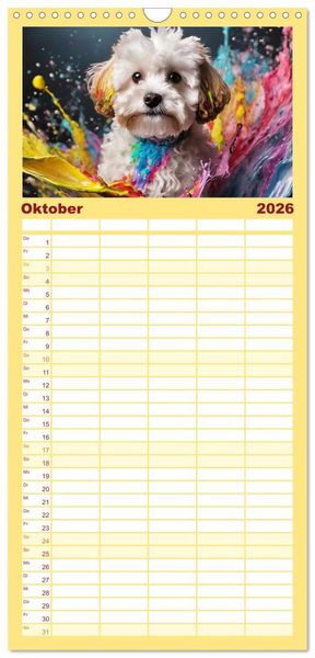 Produktbild: Familienplaner 2026 - Splash - Hunde im Farbrausch mit 5 Spalten (Wandkalender, 21 x 45 cm) CALVENDO