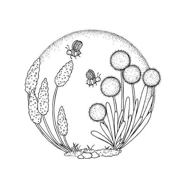 Produktbild: 333 Ausmalen &ndash;&nbsp;Wunder der Natur