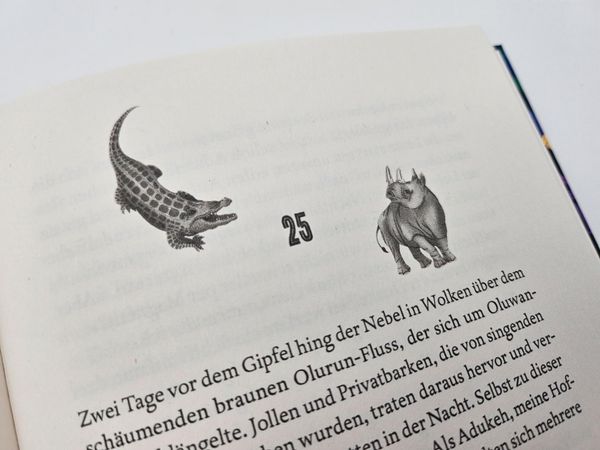 Raybearer – Der Pakt der Abiku