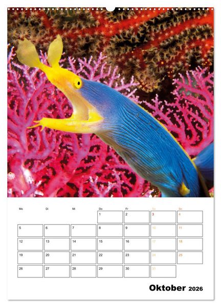 Produktbild: Farbrausch unter Wasser: Fische am Riff (Wandkalender 2026 DIN A2 hoch), CALVENDO Monatskalender