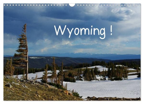 Produktbild: Wyoming! (Wandkalender 2026 DIN A3 quer), CALVENDO Monatskalender