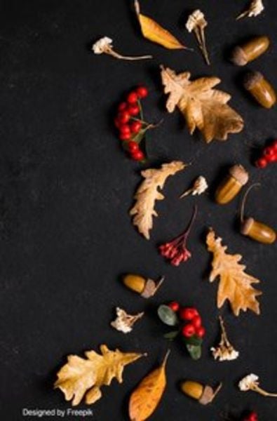 Herbst / Notizbuch Herbst Design,Bullet Journal, Geschenkidee, Softcover, 68 Seiten dotted, Taschenbuch von Notizbuch Health, Epubli,