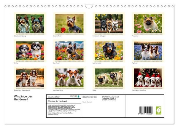 Produktbild: Winzlinge der Hundewelt (Wandkalender 2026 DIN A3 quer), CALVENDO Monatskalender