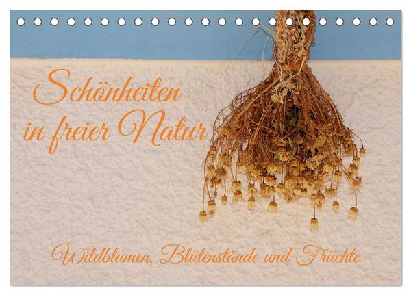 Produktbild: Sch&ouml;nheiten in freier Natur (Tischkalender 2026 DIN A5 quer), CALVENDO Monatskalender