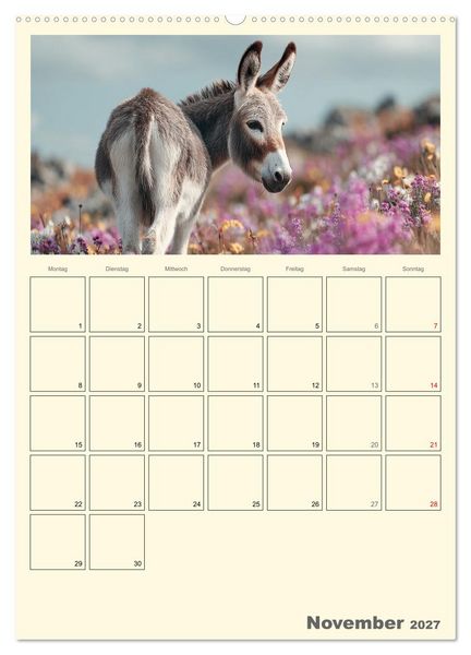 Produktbild: Eselmomente. Natur, Freiheit und Charakter (Wandkalender 2027 DIN A2 hoch), CALVENDO Monatskalender