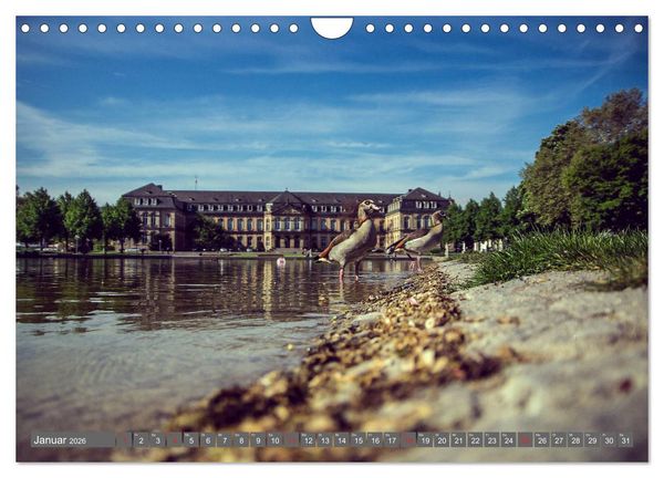 Produktbild: Stuttgart - Bilder einer Stadt 2026 (Wandkalender 2026 DIN A4 quer), CALVENDO Monatskalender