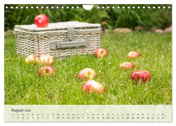 Produktbild: ApfelZEIT - Nat&uuml;rlich k&ouml;stlich (Wandkalender 2026 DIN A4 quer), CALVENDO Monatskalender
