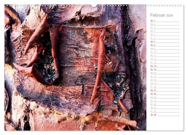 Produktbild: Abstrakte Umwelt (Wandkalender 2026 DIN A2 quer), CALVENDO Monatskalender