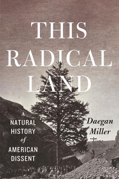 Produktbild: This Radical Land