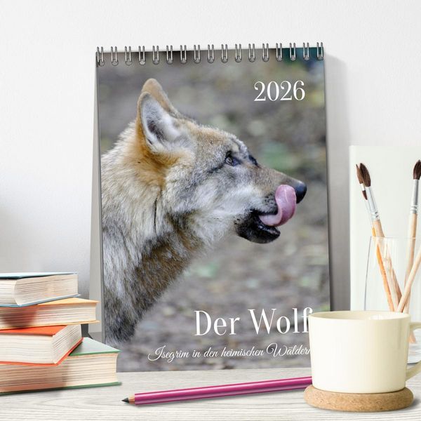 Produktbild: Der Wolf - Isegrim in den heimischen W&auml;ldern - Kalender 2026 (Tischkalender 2026 DIN A5 hoch), CALVENDO Monatskalender