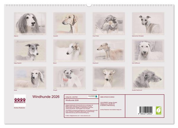 Produktbild: Windhunde 2026 (hochwertiger Premium Wandkalender 2026 DIN A2 quer), Kunstdruck in Hochglanz