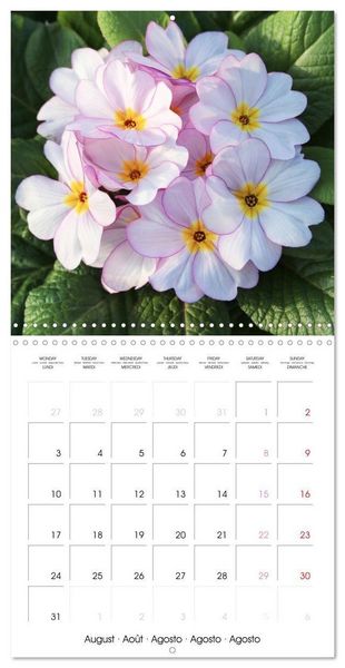 Produktbild: Kruse, G: Printemps toute l'ann&eacute;e (Calendrier mural carr&eacute; 20