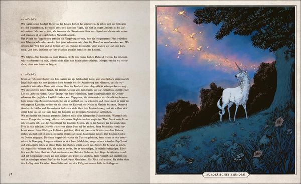 Produktbild: Fast verschwundene Fabelwesen. Die sagenhafte Expedition des Konstantin O. Boldt