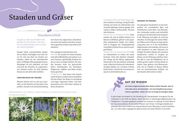 Produktbild: G&auml;rtnern f&uuml;r Gartenneulinge