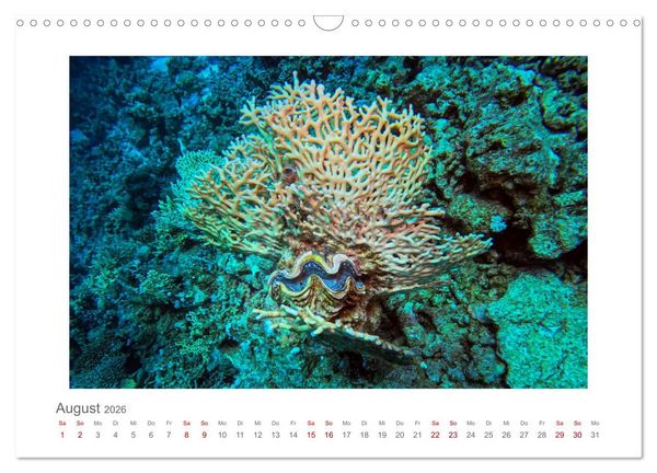 Produktbild: &Auml;gypten - unterwegs mit Julia Hahn (Wandkalender 2026 DIN A3 quer), CALVENDO Monatskalender