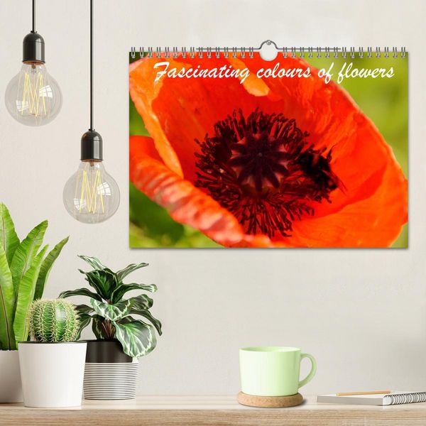 Produktbild: Fascinating colours of flowers (Wall Calendar 2026 DIN A4 landscape), CALVENDO 12 Month Wall Calendar