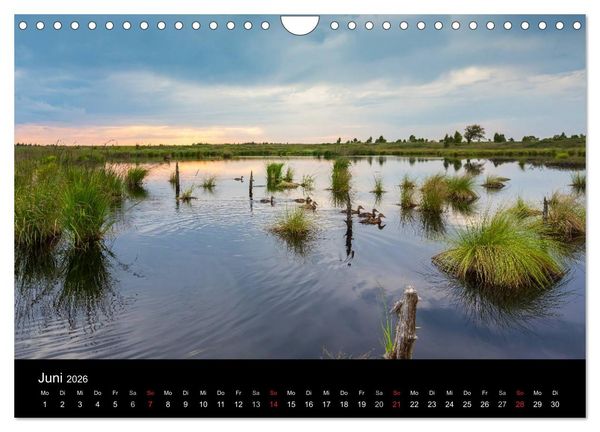 Produktbild: HOHES VENN - Einblicke in ein Hochmoor (Wandkalender 2026 DIN A4 quer), CALVENDO Monatskalender