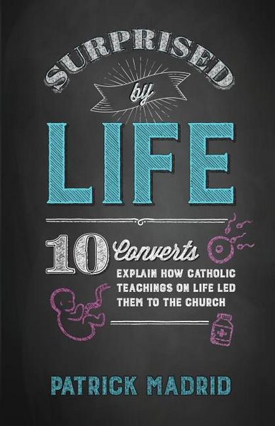 Produktbild: Surprised by Life