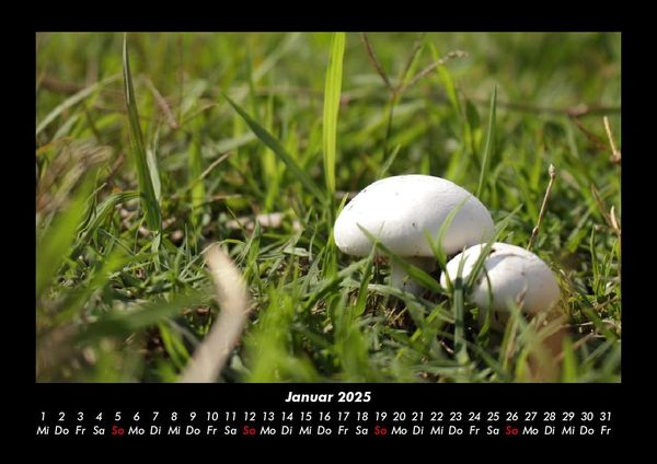 Produktbild: Bilder aus der Natur 2025 Fotokalender DIN A3