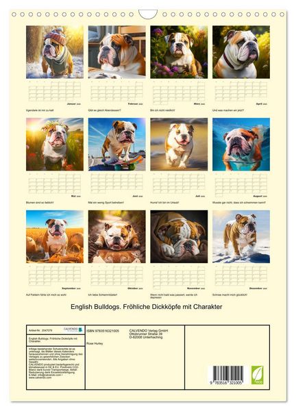 Produktbild: English Bulldogs. Fr&ouml;hliche Dickk&ouml;pfe mit Charakter (Wandkalender 2026 DIN A3 hoch), CALVENDO Monatskalender