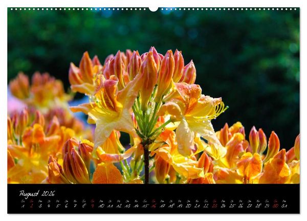 Produktbild: Butchart Gardens 2026 (hochwertiger Premium Wandkalender 2026 DIN A2 quer), Kunstdruck in Hochglanz