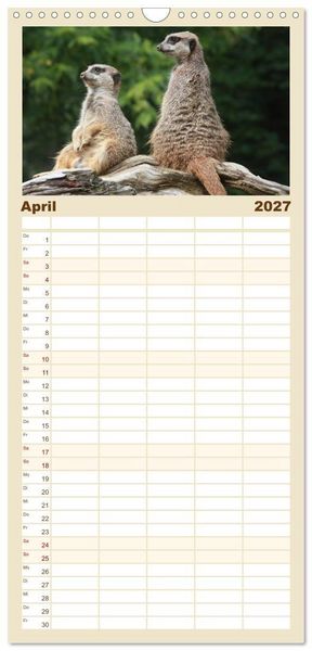Produktbild: Familienplaner 2027 - Erdm&auml;nnchen mit 5 Spalten (Wandkalender, 21 x 45 cm) CALVENDO