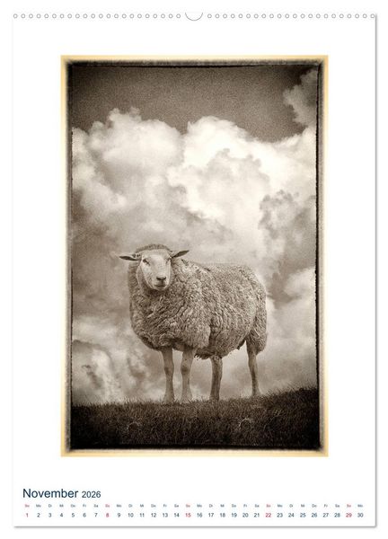 Produktbild: Nordseebrise - Bezauberndes Nordfriesland (Wandkalender 2026 DIN A2 hoch), CALVENDO Monatskalender