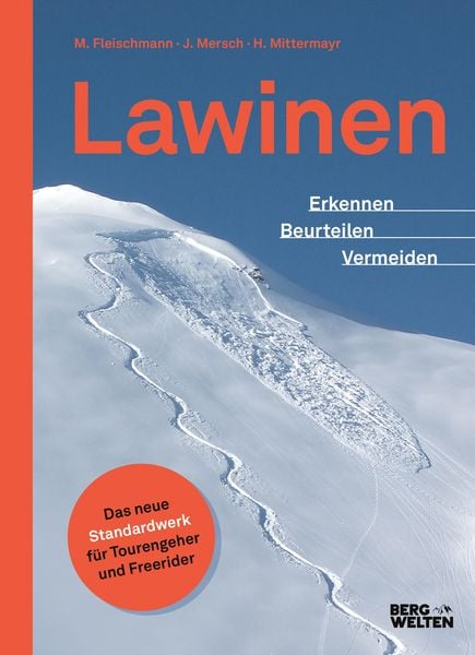Produktbild: Lawinen