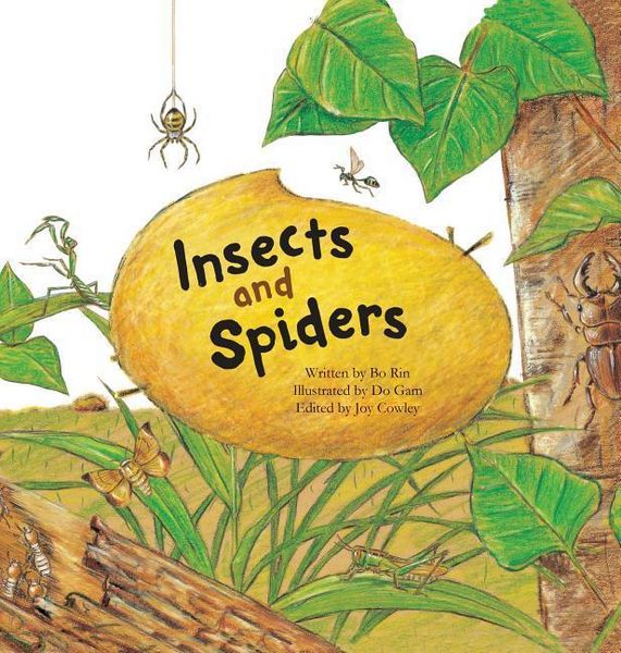 Produktbild: Insects and Spiders