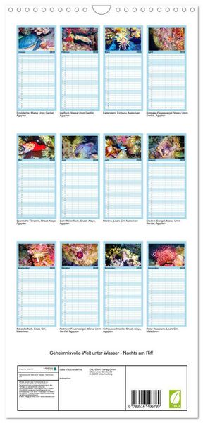 Produktbild: Familienplaner 2026 - Geheimnisvolle Welt unter Wasser - Nachts am Riff mit 5 Spalten (Wandkalender, 21 x 45 cm) CALVENDO