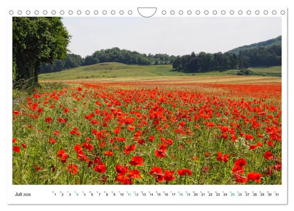 Produktbild: Die Eifel - Vulkane, Heidekraut und sanfte H&uuml;gel (Wandkalender 2026 DIN A4 quer), CALVENDO Monatskalender
