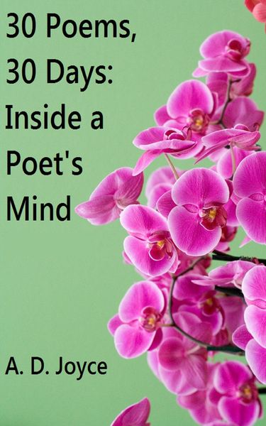 Produktbild: 30 Poems, 30 Days: Inside a Poet's Mind