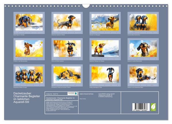 Produktbild: Dackelzauber. Charmante Begleiter im lieblichen Aquarell-Stil (Wandkalender 2026 DIN A3 quer), CALVENDO Monatskalender