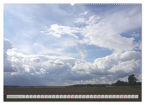 Produktbild: Natur-Paradies Mecklenburgische Schweiz (Wandkalender 2026 DIN A2 quer), CALVENDO Monatskalender