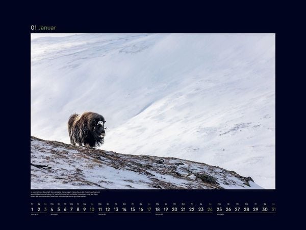 Produktbild: Norwegen - KUNTH Wandkalender 2027