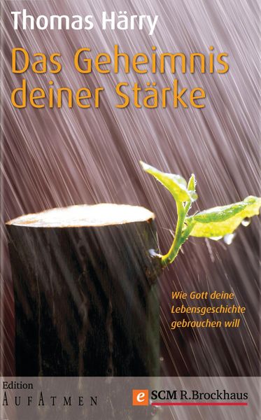 Produktbild: Das Geheimnis deiner St&auml;rke