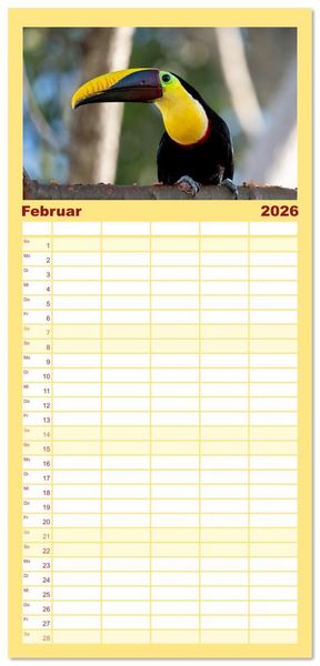Produktbild: Familienplaner 2026 - Tropische V&ouml;gel Costa Ricas mit 5 Spalten (Wandkalender, 21 x 45 cm) CALVENDO
